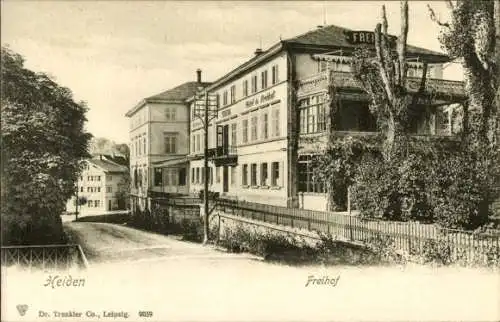 Ak Heiden Kanton Appenzell Außerrhoden, Freihof