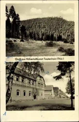 Ak Tautenhain Bad Klosterlausnitz in Thüringen, Gasthof, Straßenpartie, Wald