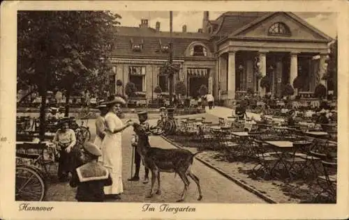Ak Hannover in Niedersachsen, Im Tiergarten, Terrasse, Frau füttert Hirsch
