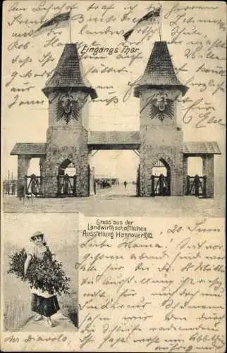 Ak Hannover in Niedersachsen, Landwirtschaftliche Ausstellung 1903, Eingangstor