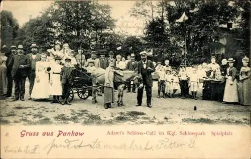 Ak Berlin Pankow, Kgl. Schlosspark, Adami's Schloss-Café, Spielplatz, Gäste, Eselskutsche