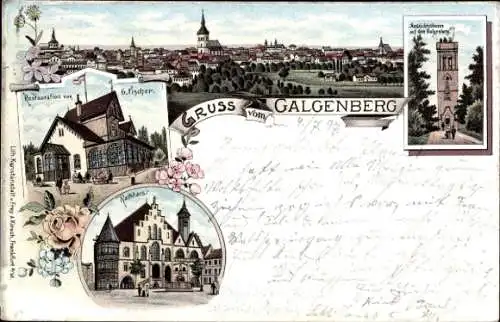 Litho Hildesheim in Niedersachsen, Gesamtansicht, Galgenberg, Aussichtsturm, Restaurant, Rathaus