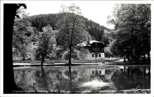 Ak Aspang Niederösterreich, Teilansicht