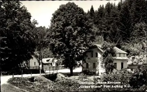 Ak Aspang Niederösterreich, Gasthaus Johann Kronaus, Grüne Wiese