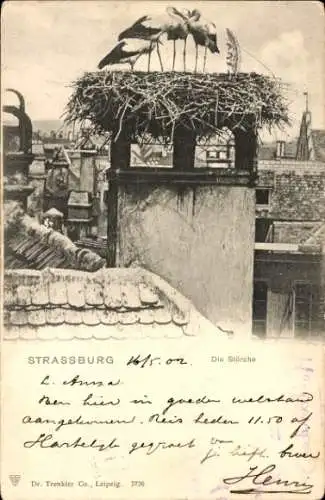 Ak Strasbourg Straßburg Elsass Bas Rhin, Störche, Nest, Schornstein