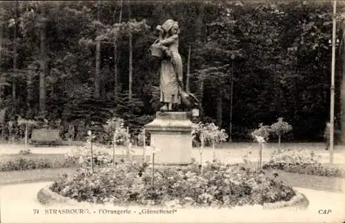 Ak Strasbourg Straßburg Elsass Bas Rhin, Orangerie, Gänseliesel