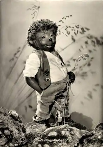 Ak Mecki der Igel, In Erwartung