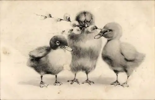 Ak Drei Küken, Weidenkätzchen, Ostern