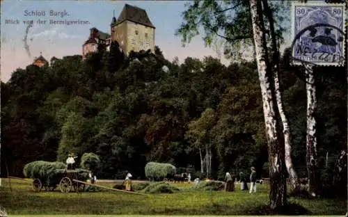 Ak Burgk Schleiz in Thüringen, Schloss Burgk, Bermigswiese, Heuernte