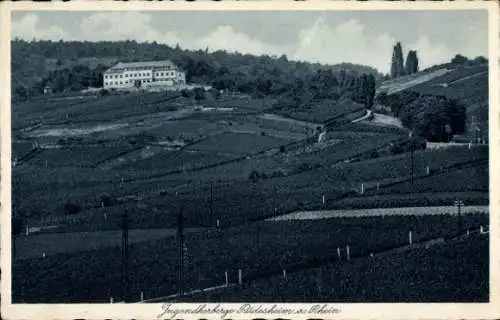 Ak Rüdesheim am Rhein, Jugendherberge, Weinberge