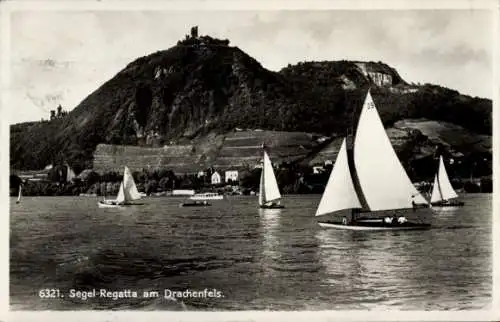 Ak Königswinter am Rhein, Drachenfels, Segel-Regatta