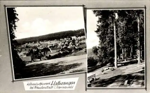 Ak Hallwangen Dornstetten im Schwarzwald Württemberg, Panorama