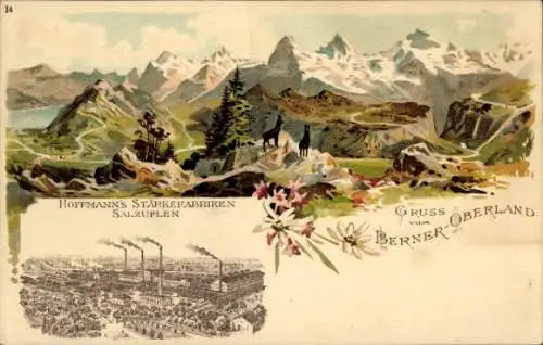 Passepartout Litho Bad Salzuflen in Lippe, Hoffmann's Stärkefabriken, Berner Oberland