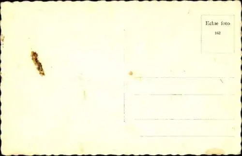 Ak Pferd, Tierportrait