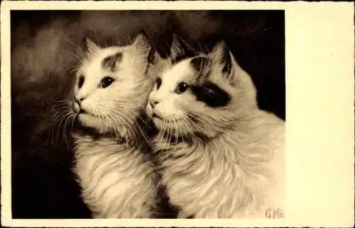 Künstler Ak Zwei kleine langhaarige Katzen