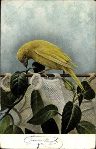 Ak Gelber Vogel, Vorhang, Laubblätter