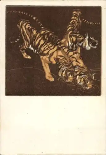 Künstler Ak Bresslern Roth, Norbertine von, Drei trinkende Tiger