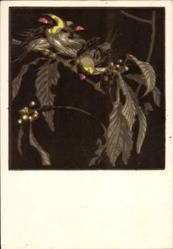 Künstler Ak Bresslern Roth, Norbertine von, Vögel auf einem Ast