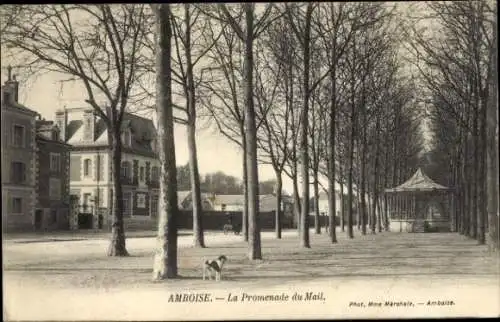 Ak Amboise Indre et Loire, La Promenade du Mail