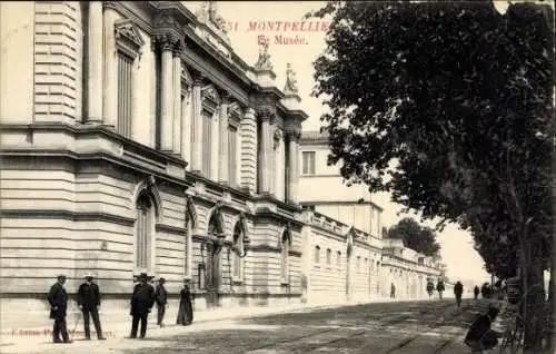 Ak Montpellier Hérault, Museum