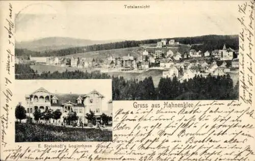 Ak Hahnenklee Bockswiese Goslar im Harz, Totalansicht, Steinhoffs Logierhaus