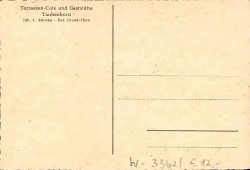 Ak Taubenborn Bad Grund Harz, Terrassen Café und Gaststätte, L. Schieke