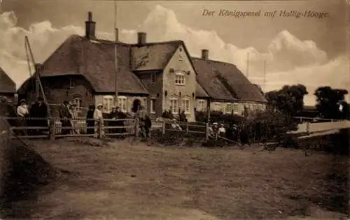 Ak Hallig Hooge in Nordfriesland, Königspesel