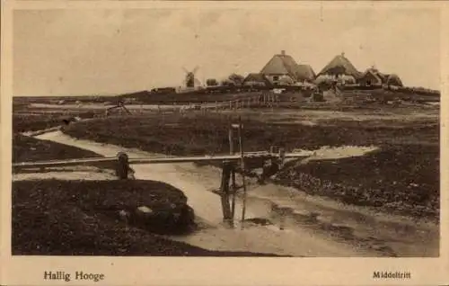 Ak Hallig Hooge in Nordfriesland, Middeltritt