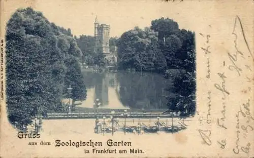 Ak Frankfurt am Main, Zoologischer Garten, Turm, Teich