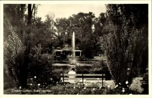 Ak Zweibrücken in der Pfalz, Rosengarten