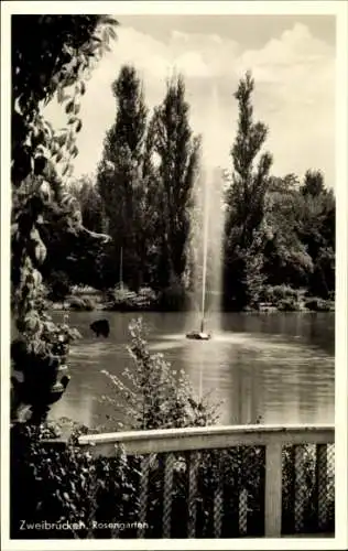 Ak Zweibrücken in der Pfalz, Rosengarten