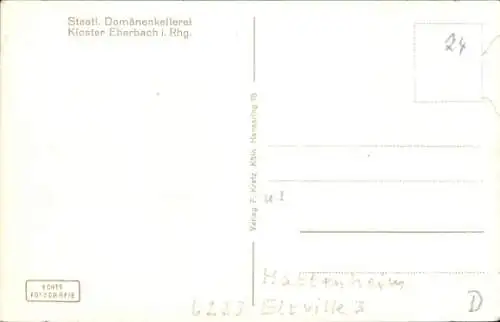 Ak Eltville am Rhein, Staatl. Domänenkellerei, Kloster Eberbach