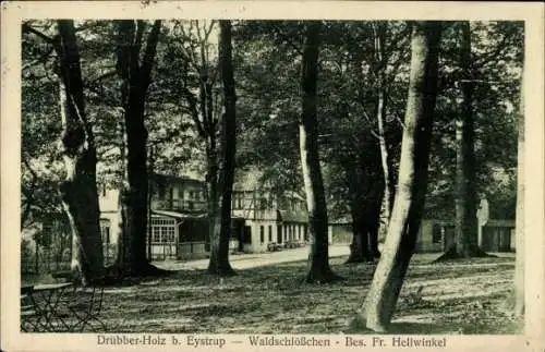 Ak Eystrup Drübber Holz Niedersachsen, Waldschlösschen, Bes. Fr. Hellwinkel