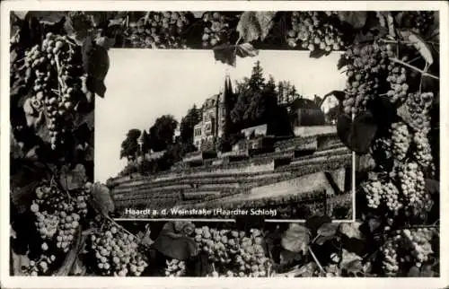Passepartout Ak Haardt an der Weinstraße Neustadt a. d. W., Schloss