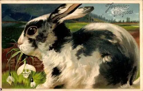 Präge Litho Glückwunsch Ostern, Schwarz weißer Hase