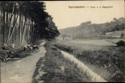 Ak Kaiserslautern in der Pfalz, Hagelgrund