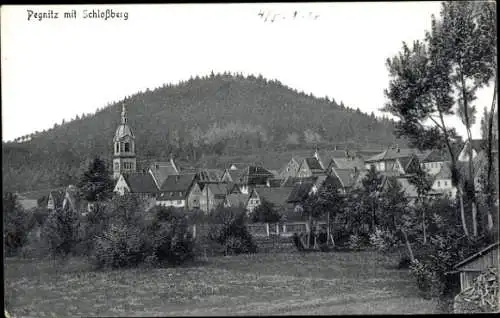 Ak Pegnitz in Oberfranken, Schlossberg