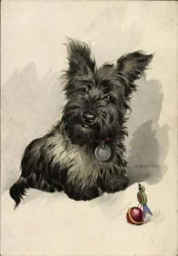 Künstler Ak Dermitzel, E., Hundeportrait, Yorkshire Terrier, Spielzeug