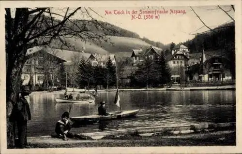 Ak Aspang Niederösterreich, Partie am Teich