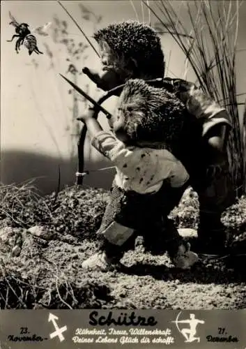 Ak Mecki der Igel, Sternzeichen Schütze, Sagittarius, 23. November bis 21. Dezember