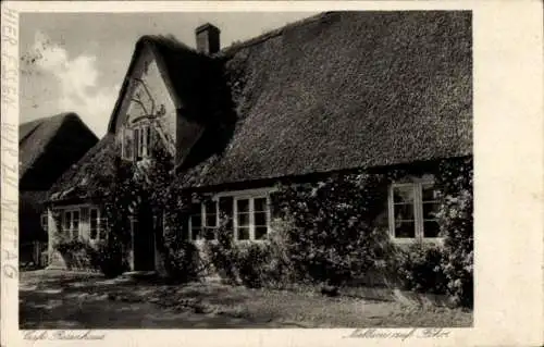 Ak Nieblum auf der Insel Föhr Nordfriesland, Cafe Rosenhaus