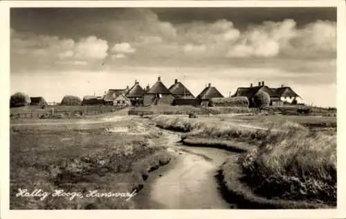 Ak Hallig Hooge in Nordfriesland, Reetdachhäuser, Hanswarf