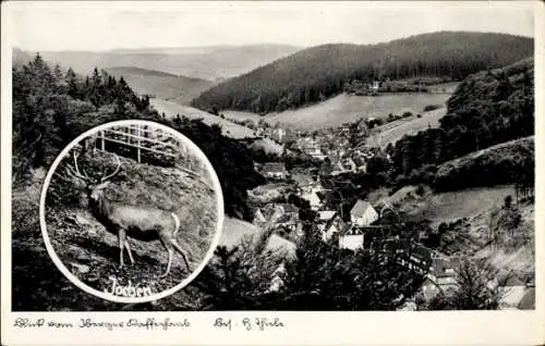 Ak Bad Grund im Harz, Iberg, Jochen, Panorama