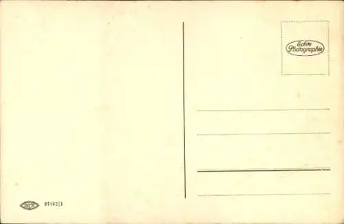 Ak Hundeportrait, Bologneser