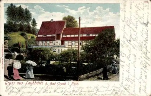 Ak Laubhütte Bad Grund im Harz, Ortspartie mit Gartenanlage, Fachwerkhaus