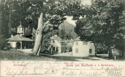 Ak Auerbach Bensheim an der Bergstraße Hessen, Fürstenlager