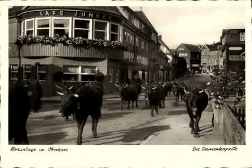 Ak Braunlage im Oberharz, Damenkapelle, Kuhherde