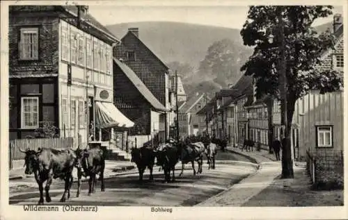 Ak Wildemann Clausthal Zellerfeld im Oberharz, Bohlweg, Kuhherde