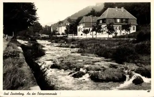 Ak Bad Lauterberg im Harz, Oderpromenade