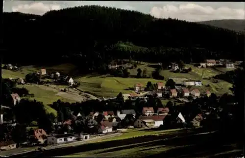 Ak Warmensteinach Oberfranken Bayern, Hotel bei uns, Pension Waldbaude, Panorama